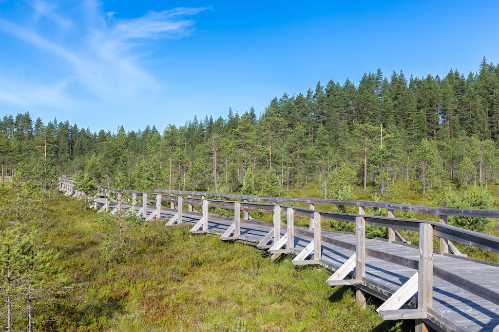 Seitseminen National Park Finland Travel Info