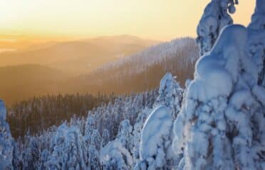 Koli National Park