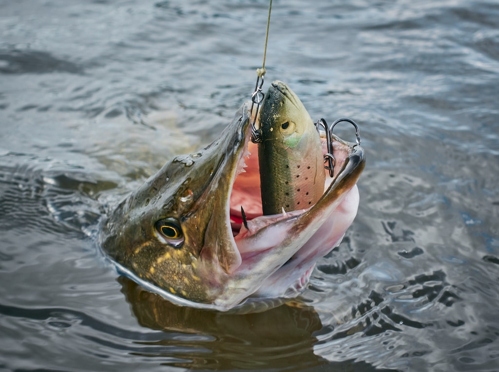 Fishing in Finland 3