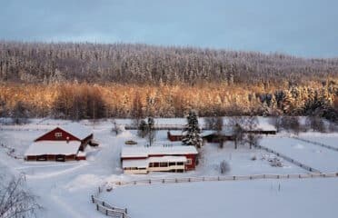 Tourist Farm Paimentupa